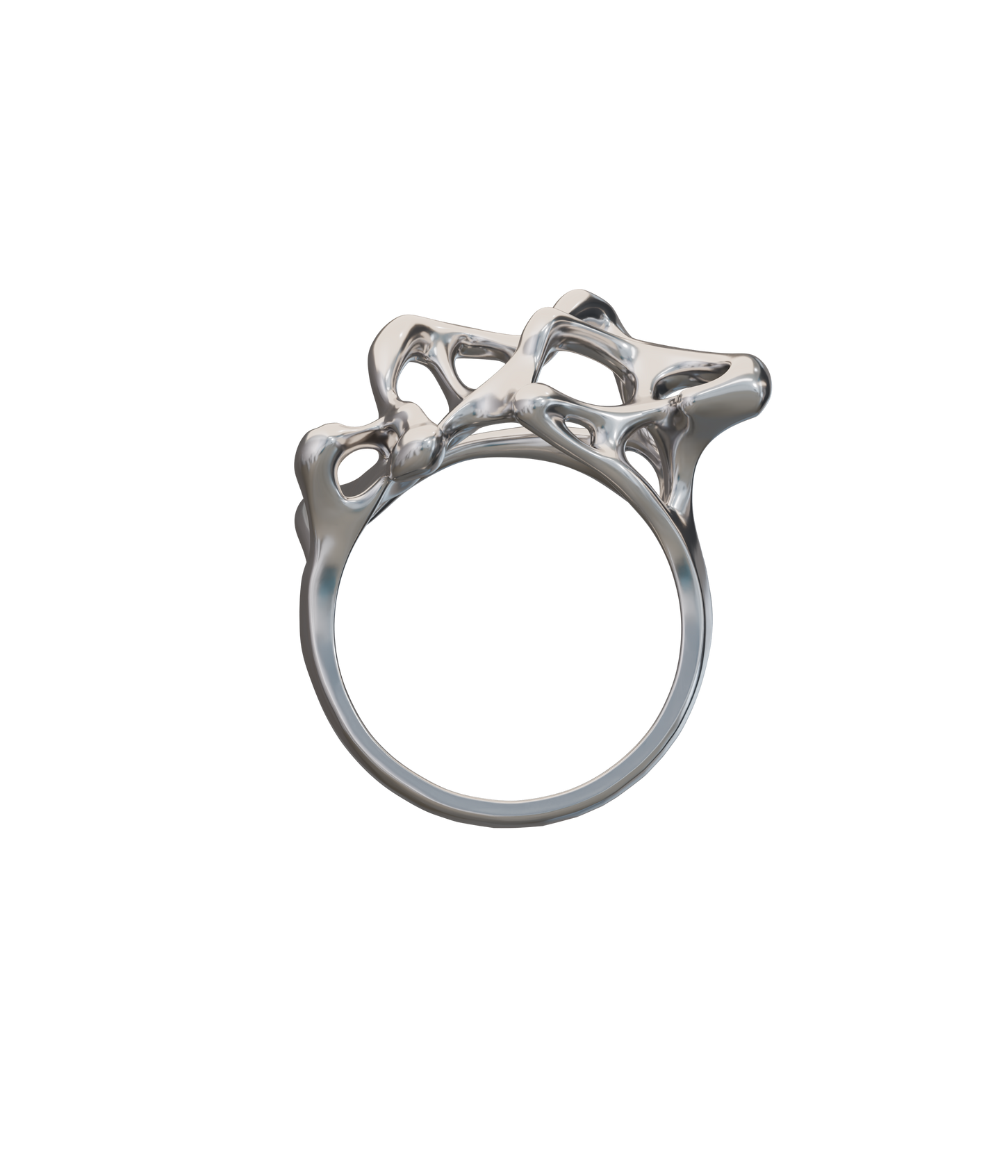 SPORES 01 Ring Chrome (1/10)