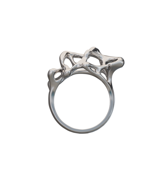 SPORES 01 Ring Chrome (1/10)