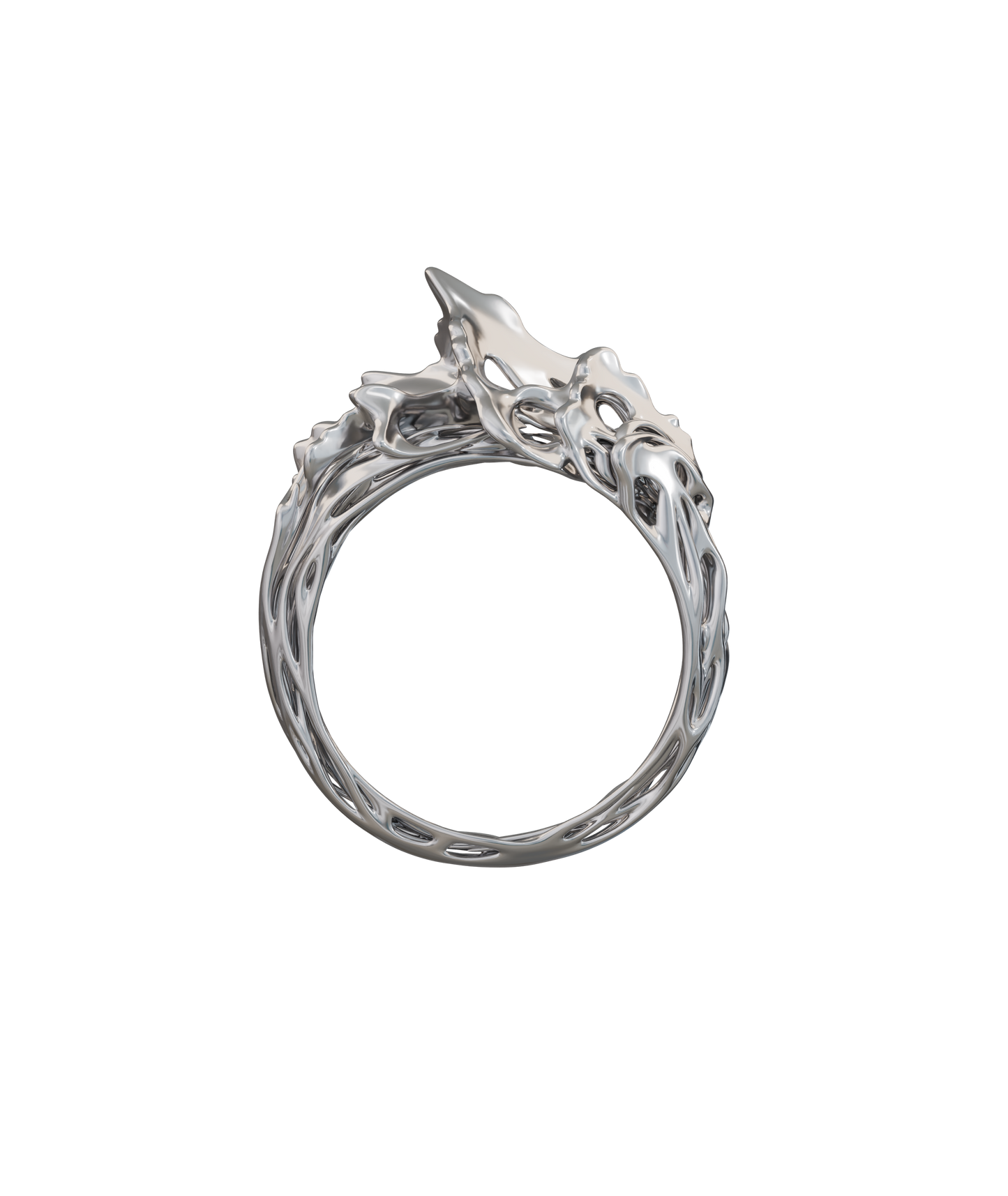 CONOPY 01 Ring Chrome (1/10)