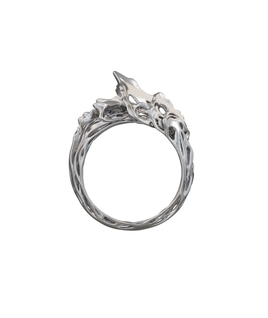 CONOPY 01 Ring Chrome (1/10)