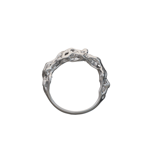 EROSION 01 Ring Chrome (1/10)
